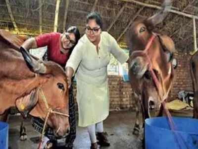 West Bengal: MBA graduate sisters' unique organic milk startup