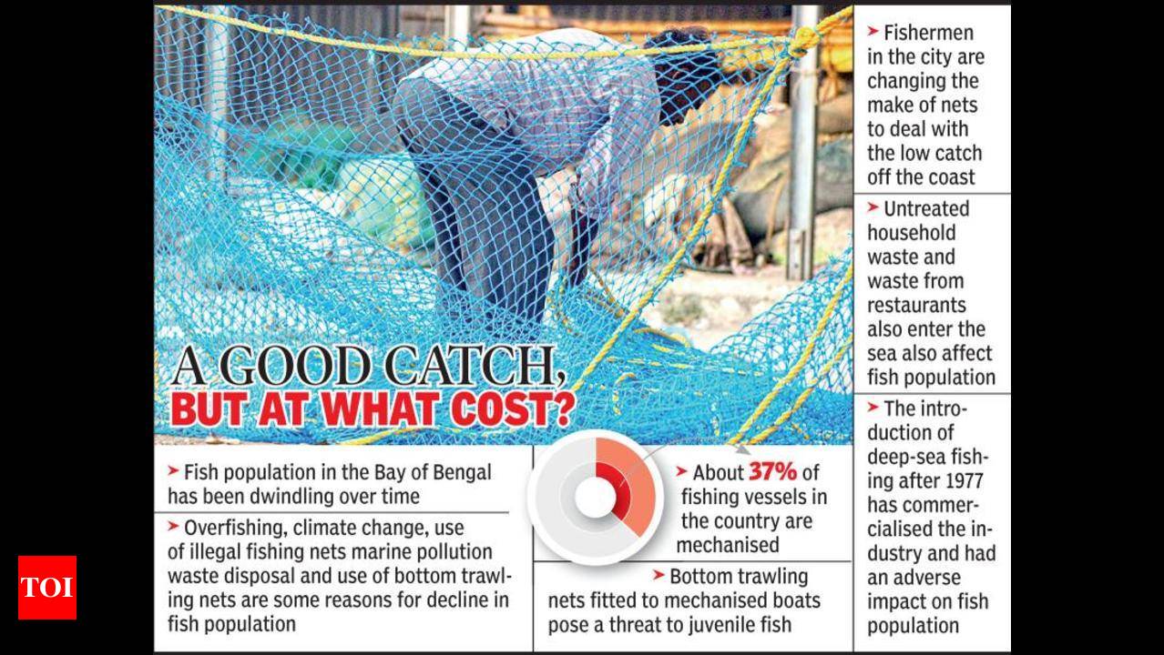Net Catch Release Fishing Fish Nets Hand- Draft Nets