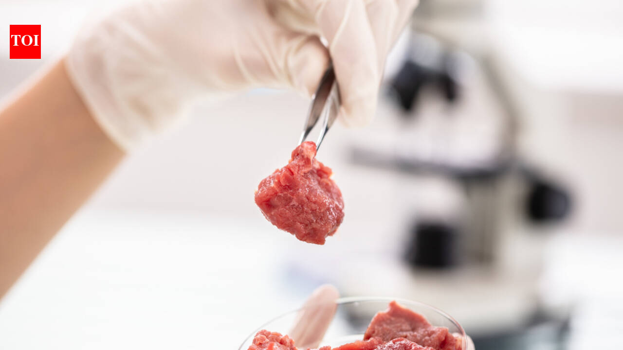 What is lab grown meat and is it healthy?