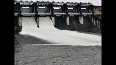 Tamil Nadu: Water released from two dams in Virudhunagar district