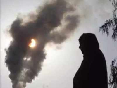 Air pollution may harm brain, cause memory decline in elderly: Study