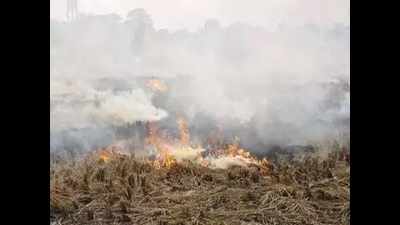 Allahabad: FIR lodged against stubble burning in Fatehpur district