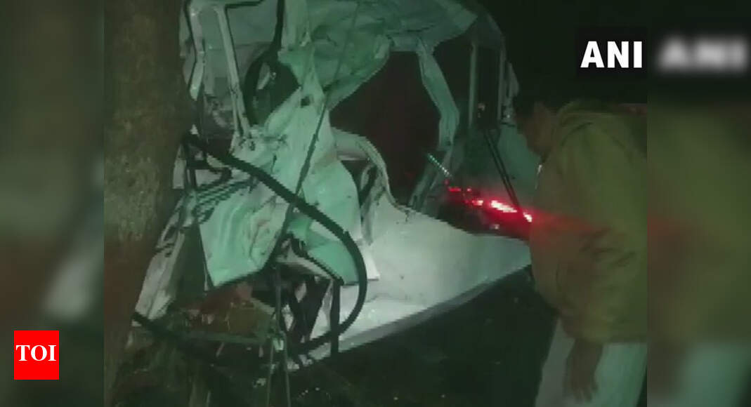 12 killed, 10 hurt as mini bus overturns in Rajasthan's Nagaur | Jaipur ...