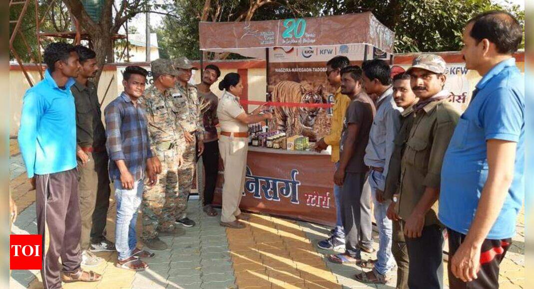 Effects of nisarga cyclone picture