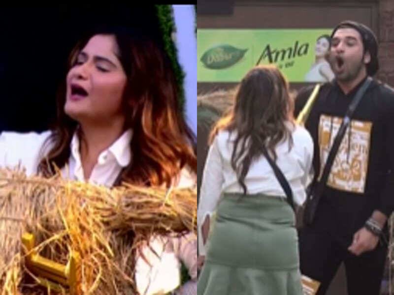 Bigg Boss 13 Arti Singh Asks Asim Riaz If He Is In Love With