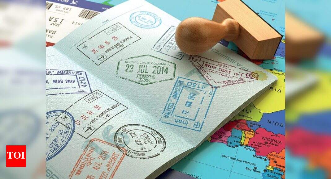 South Africa To Soon Launch E visa System Times Of India
