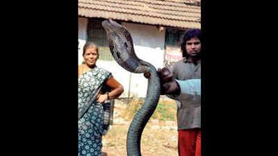 Cobras hiss, locals shudder, Secunderabad a snake pit