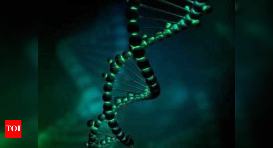 Why preserving DNA is important in rape cases | Noida News - Times of India