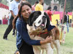 A dog’s day all the way in Lucknow