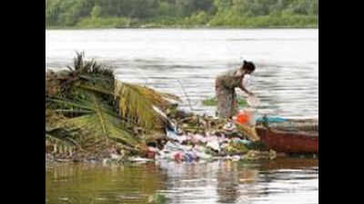 Heavy metal contamination high in Vembanad lake, fishlings: Cusat study