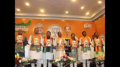 Jharkhand assembly elections 2019: BJP's poll manifesto promises mobile handset for farmers, job for every BPL family