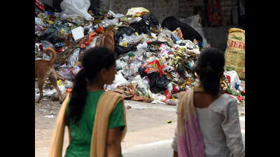 Report sought on waste dumping by vendors in Delhi