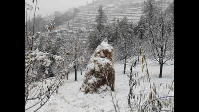 Snowfall in higher reaches of Himachal Pradesh, schools closed in Kinnaur