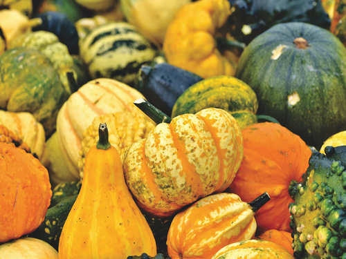 Is Pumpkin Good For Diabetics The Times Of India