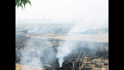 Bihar: In a first, farmer from Rohtas booked for stubble burning