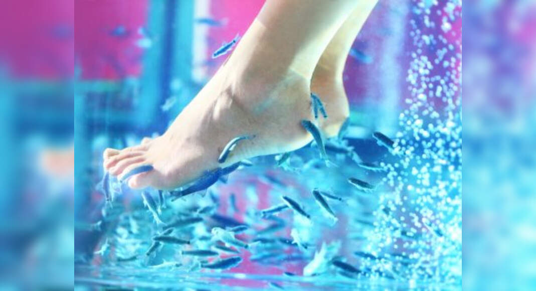 All the reasons why you shouldn't get a fish pedicure done - Misskyra.com