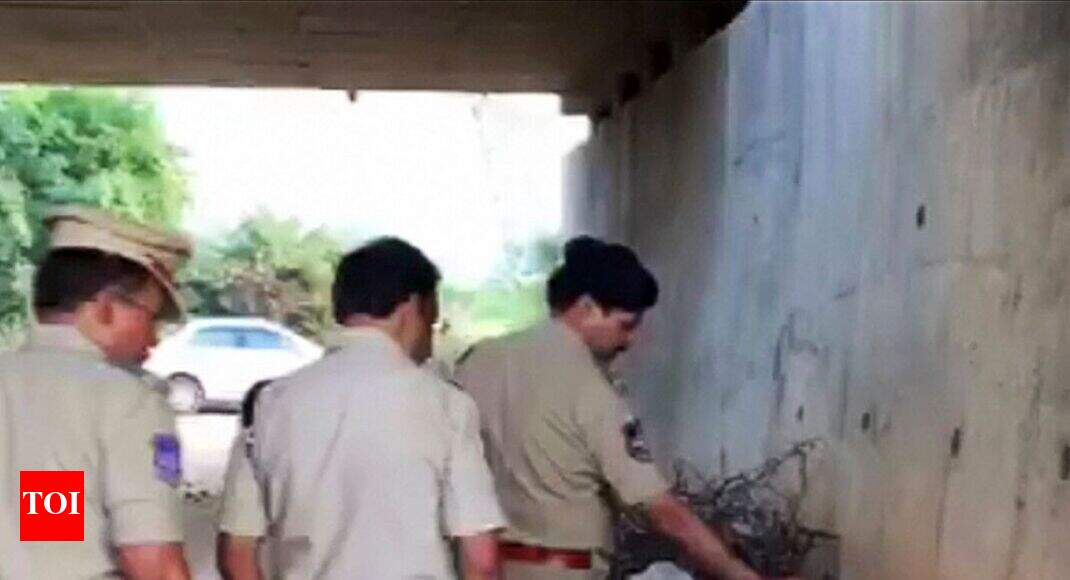 Hyderabad rape: Accused sent to 14-day custody