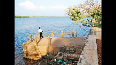 Goa needs 20 jetties for tourism, water transport: Michael Lobo | Goa ...
