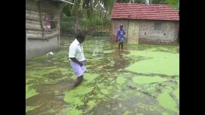 Rain lashes many parts of Tamil Nadu, more forecast; one dead in Chennai