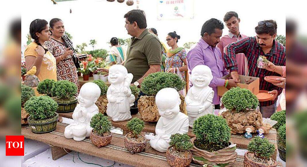 Bonsai lovers throng Agiyari for visual delight Vadodara News Times