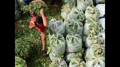 Secunderabad: Soon, vegetable waste will power Bowenpally market yard
