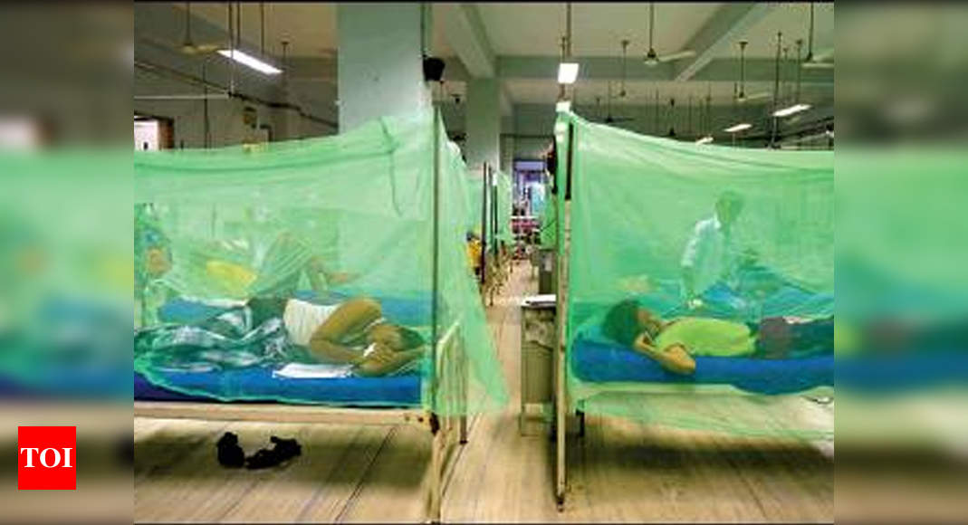 Tamil Nadu Health Department Plans To Label Dengue Strains For Better ...