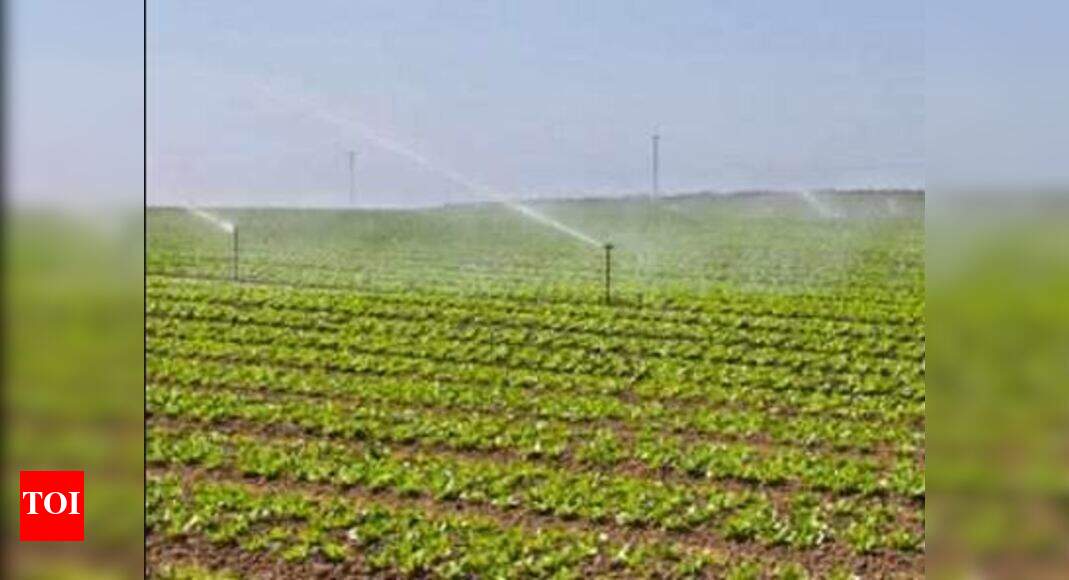 Drip irrigation now must in Jayakwadi command area Aurangabad News