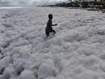 Chennai: Famous tourist destination Marina Beach spits out toxic foam
