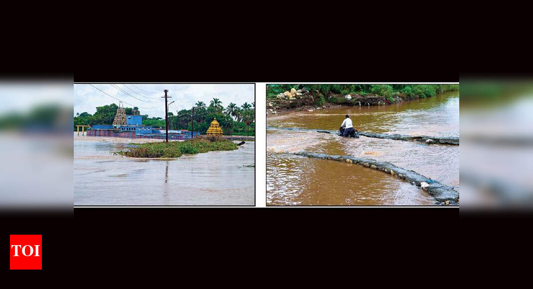 Rains inundate samba crops in delta region | Trichy News - Times of India