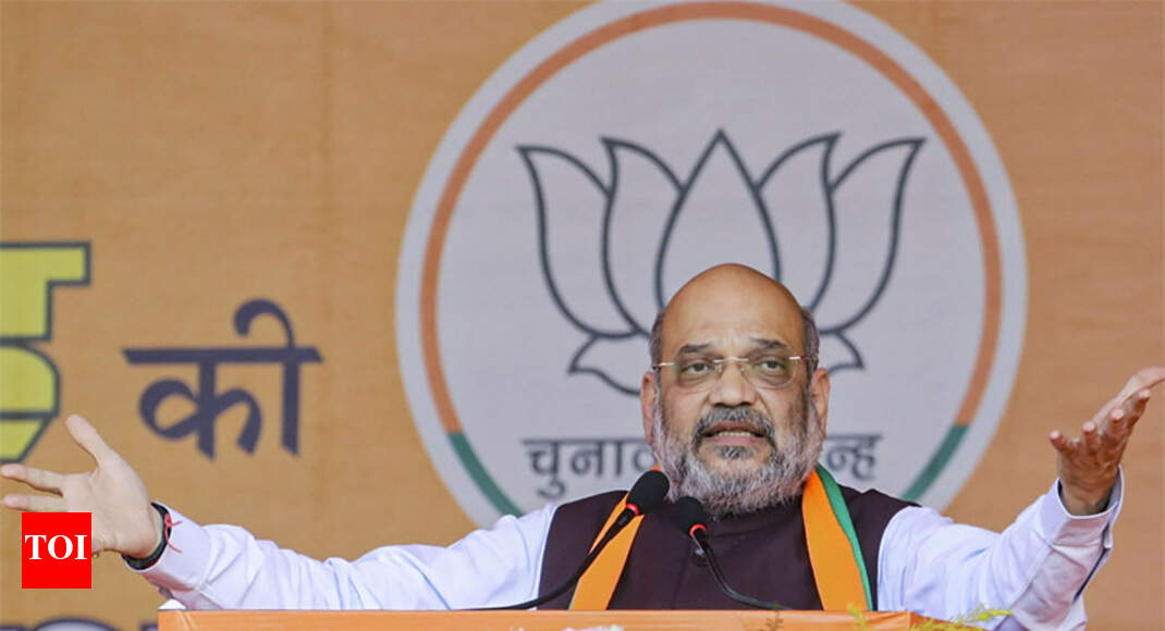 All illegals to be expelled before LS polls: Shah