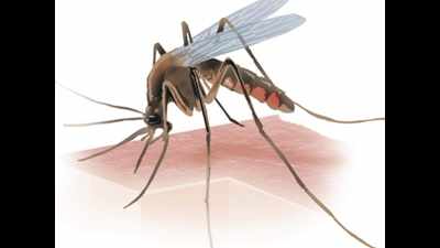 At 16, Kerala has most no.of dengue deaths this year