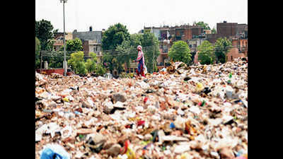 Submit status report on solid waste management by January 31, NGT tells its panel