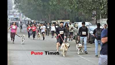 When pooches turned up for a Sunday run with their parents
