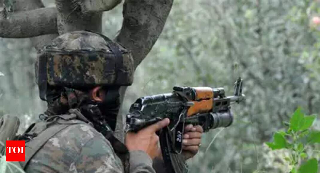 1 killed, 8 injured in Pak shelling along LoC