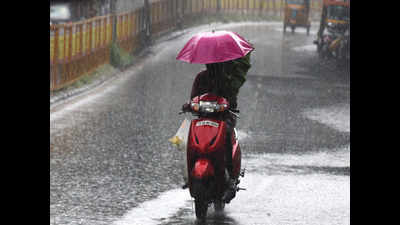 Chennai to get light rain over next 48 hours, forecasts Met
