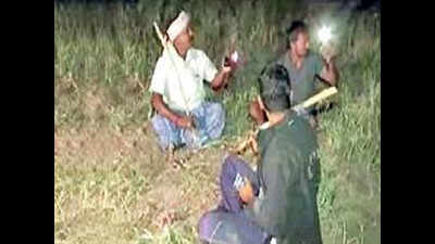 Karnataka onion thefts: Gadag farmers burn midnight oil to save pricey crop