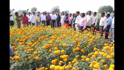 State-level agriculture exhibition held in Aurangabad