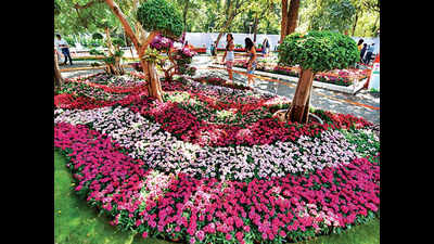 Empress Garden extends its popular flower show to 10 days from January 17