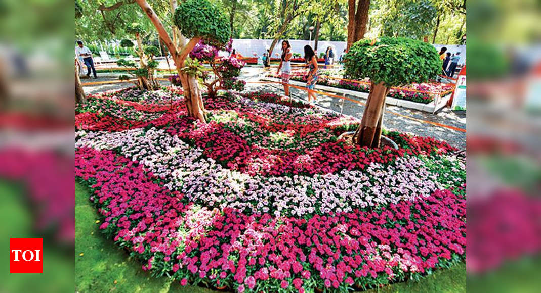 Empress Garden extends its popular flower show to 10 days from January