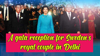 A gala reception for Sweden's royal couple in Delhi