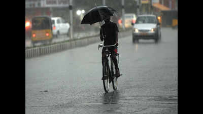 Tamil Nadu: Rain likely this weekend, say weathermen