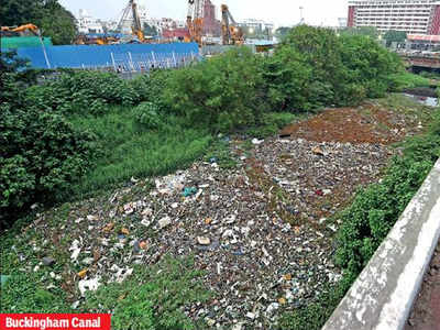 Litterbugs choke Chennai's waterways  Chennai News - Times of India