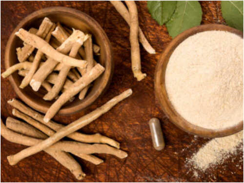 Stress Relieving To Promoting Longevity 5 Magical Benefits Of Ashwagandha The Times Of India
