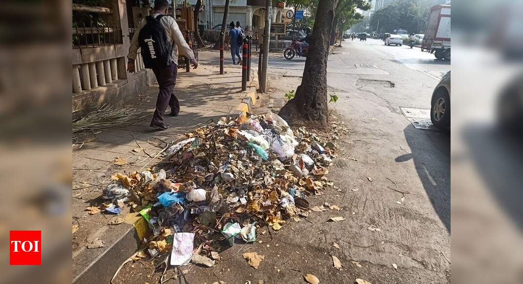 GARBAGE ON MAIN ROAD - Times of India