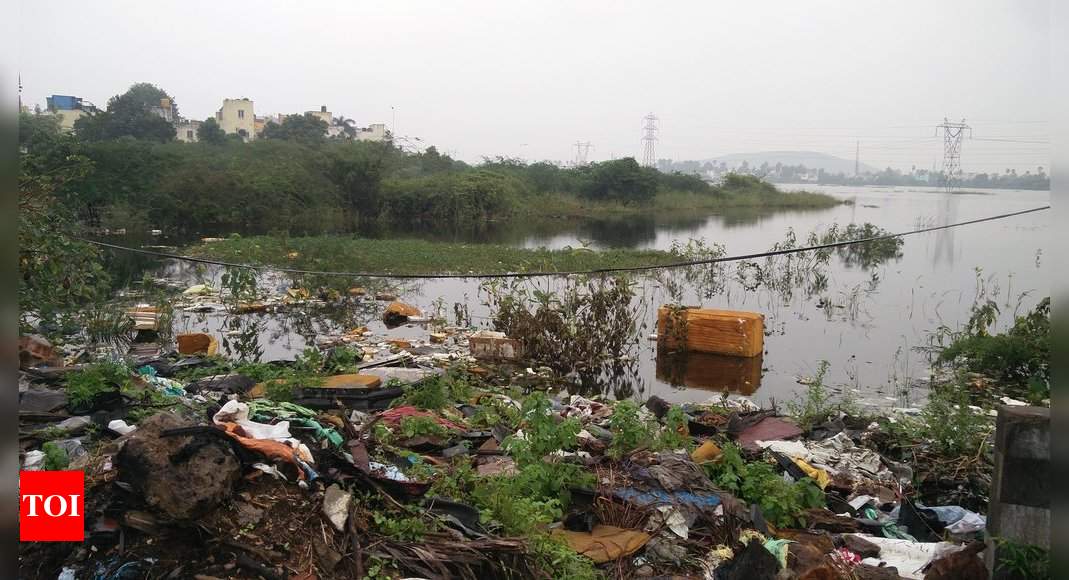 Sithalapakkam - Ponmar road Lake Polluted badly - Times of India