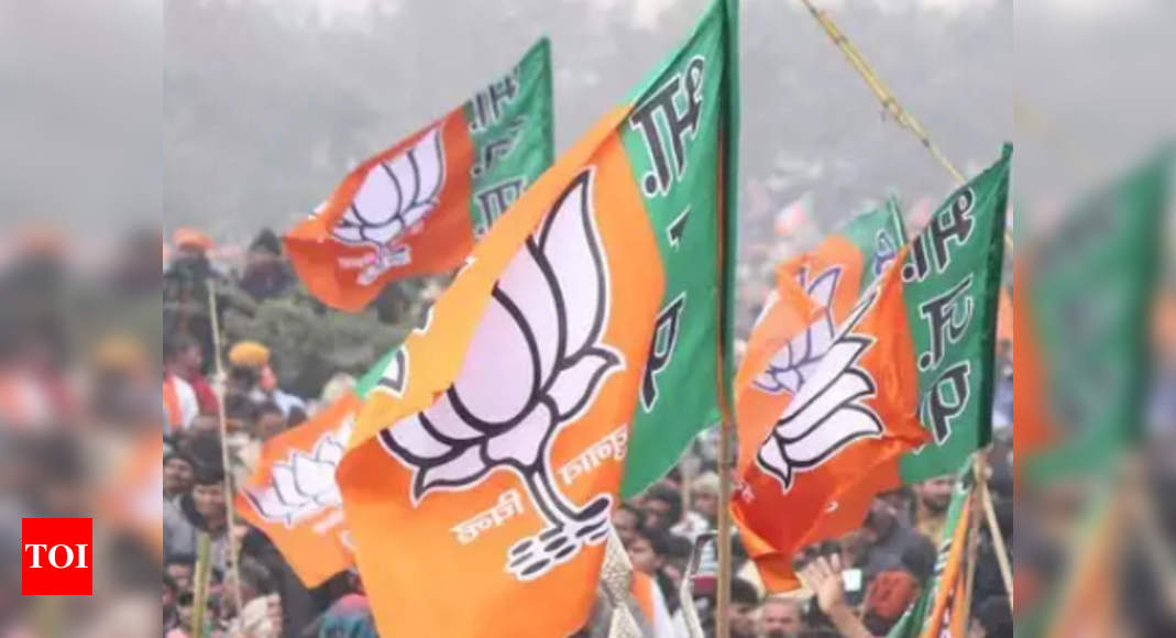 BJP Bags 10 Seats In Byelections, Retains Majority In Assembly | India ...