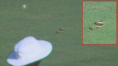 Ranji trophy 2019: Snake enters ground, delays start of match