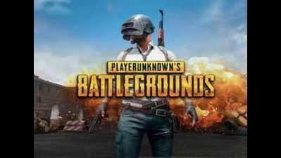 Punjab and Haryana high court directs IT ministry to ban online game PUBG