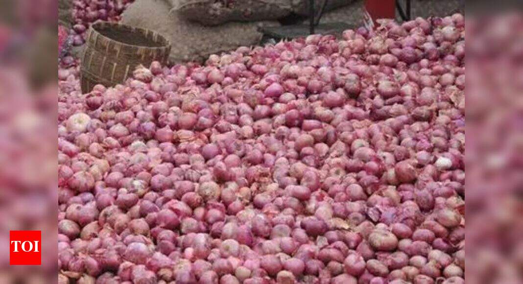 Horticulture department plans onion crop colonies to boost production