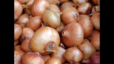 Lucknow: Onion prices down by Rs 20/kg